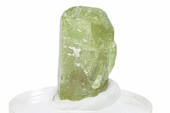 Lustrous Vesuvianite Crystal - Jeffrey Mine, Canada #287043
